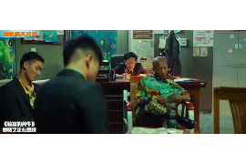 宁安宁安的要账公司在催收过程中的策略和技巧有哪些？