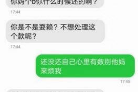 宁安专业讨债公司有哪些核心服务？